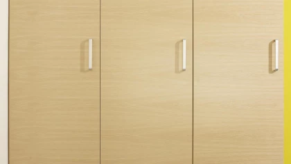 Ash veneered MDF doors